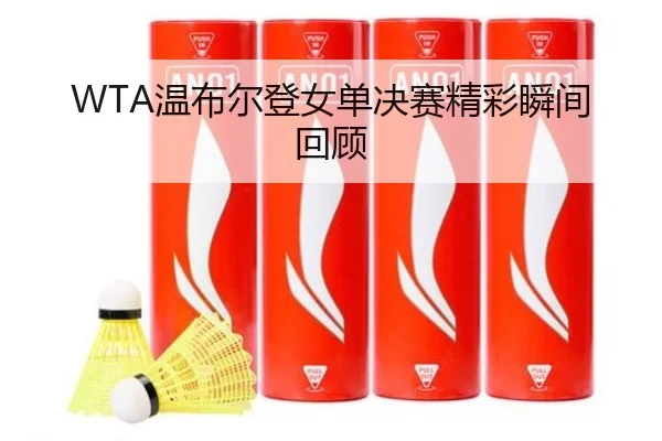 WTA温布尔登女单决赛精彩瞬间回顾